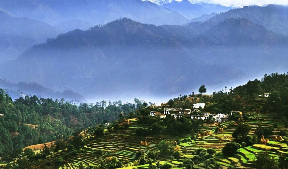 Corbett Ranikhet Tour